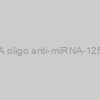 AXMIR-125a RNA oligo anti-miRNA-125a-5p with Xmotif